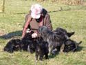 pups 2011 12-5